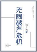 无限破产危机全文免费阅读