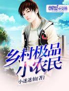 乡村及品小仙医txt
