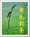 村满桃花香TXT免费全文阅读