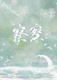 察察不明