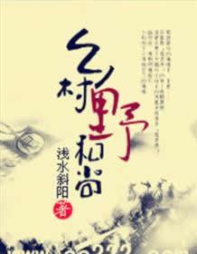 乡村野和尚全集