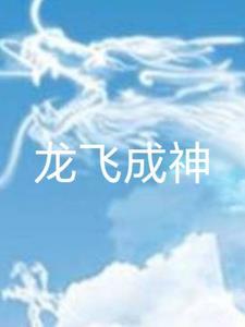 龙飞是什么里的