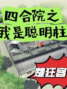 四合院我是聪明柱