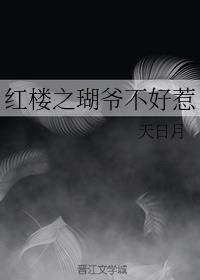红楼之贾赦长子在线阅读全文