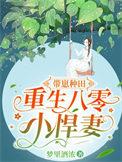 重生八零小悍妻TxT