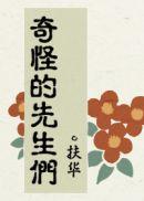 奇怪的先生们 简介