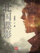 北国谍影战事史密斯夫妇