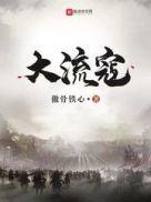 大流寇百度