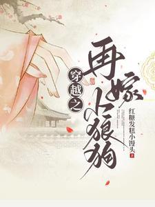 穿越再嫁小夫郎