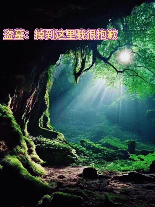 盗墓我从