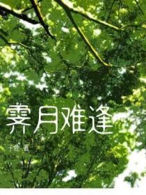 霁月难逢是谁的判词