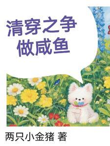 清穿之四爷的宠妃免费阅读