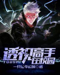 透视高手在校园的