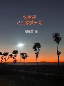 综影视从红楼梦开始晋江