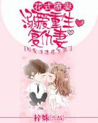 花式撩妻军婚免费阅读