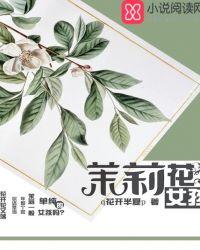 茉莉花女孩英文名