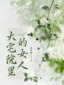 大宅院的女人全集观看完整版电影