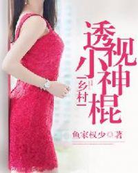 乡村透视小神医txt