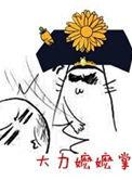 大力嬷嬷掌 百度