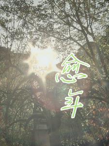 愈年愈怎么写
