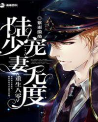 重生八零陆少宠妻无度TXT