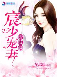 辰少宠妻少夫人