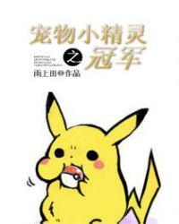 宠物小精灵之冠军皮卡丘凌缈月仙