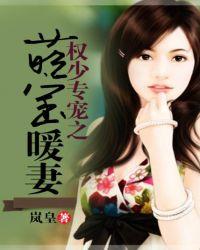 权少宠萌妻拐回家全文