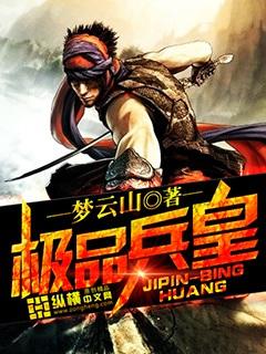 极品兵皇全集免费观看