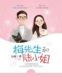 陆先生穆小姐