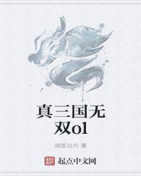 真三国无双OL直接PK