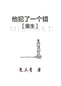 他犯了一个错txt