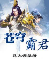 苍穹霸主2攻略