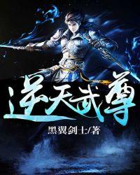 逆天武尊等级划分