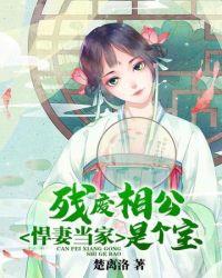 悍妻当家残废相公是个宝作者楚离洛
