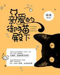 御猫原创在哪可以看