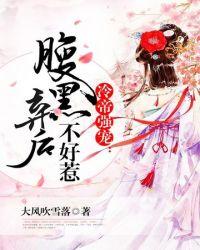 腹黑神医弃妃