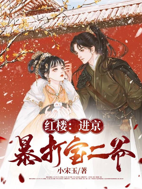 红楼进京暴打宝二爷 小宋玉 / 著