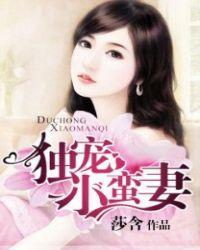 权少霸爱独宠小蛮妻