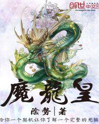林飞魔龙皇