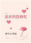 说好的隐婚呢TXT免费