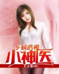 乡村透视小神医一2