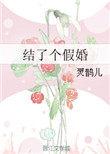 结了个假婚TXT