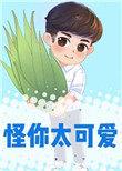怪你太可爱txt