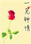 一见钟情免费阅读