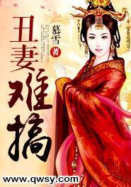 丑妻难搞柳新宇