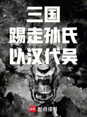 以汉代吴TXT