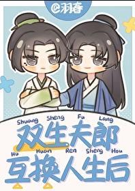 双生夫郎互换人生后无缺字