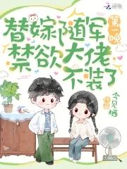 替嫁将军完整版