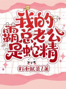 我的霸道总裁老公全文免费阅读